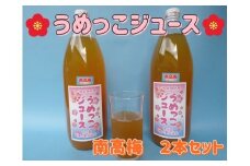【添加物不使用】うめっこジュース（南高梅）１L　2本セット 【529】