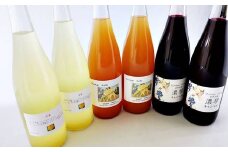 ぶどう農家の果汁100％ストレートジュース（りんご、ぶどう、コラボ） 3種類6本（720ml）セット 【554】