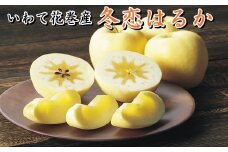 【数量・季節限定】岩手が生んだ究極のりんご『冬恋はるか』2.5kg 【570】