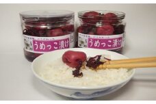【減塩・無着色】うめっこ漬け(400g)2個セット 【577】