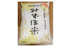 減農薬【特別栽培米　みずほ米】ひとめぼれ　精米１０kg 【581】