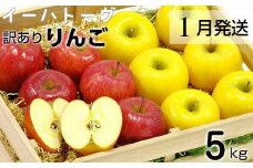 イーハトーヴ 訳アリ りんご 約５ｋｇセット《2026年1月より発送予定/予約受付》 【280-1】