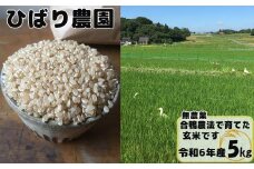 【無農薬】合鴨農法で育てたひばり農園の玄米（りくう132号） ５kg 【583】