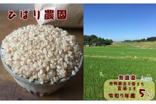 【無農薬】合鴨農法で育てたひばり農園の玄米（りくう132号） ５kg 【583】