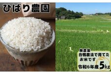 【無農薬】合鴨農法で育てたひばり農園の白米（りくう132号） ５kg 【584】