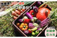 【定期便6回】ひばり農園の無農薬ワクワク野菜セット《 6月より発送開始》 【594】