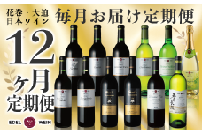 特別限定醸造ワインを毎月お届け！エーデルワイン 12か月定期便　毎月1本お届け 【629】