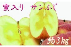 【予約受付】【贈答用】味の良い岩手の蜜入り サンふじ 約3kg 【652】