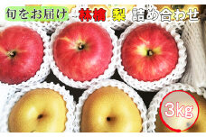 《予約受付中》【旬をお届け】林檎・梨詰め合わせ！花巻産約３kg 【653】