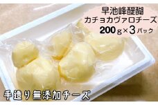 早池峰醍醐　手造り無添加カチョカヴァロチーズ200ｇ×3パック 【660】