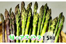 ＜予約受付！＞栄養たっぷり！旬のアスパラガス1.5kg 【675】