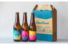 花巻産クラフトビールおまかせ3種セット（330ml×3本）BrewBeast Brewery 【689】