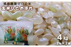 2023年産　玄米ひとめぼれ 「残留農薬０の米®」 ４kg（2kg×2袋） 【721】