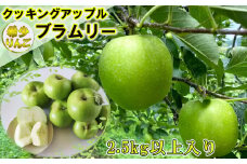 クッキングアップル 希少りんご ブラムリー 2.5kg以上 【737】