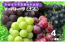 ＜予約受付開始！＞シャインマスカット入り！家庭用 ぶどう 詰め合わせセット 4パック入り 【747】