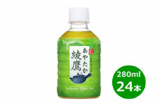 綾鷹280mlPET(24本) 【765】