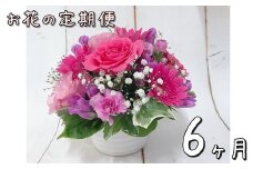 お花の定期便 フラワーアレンジメント 6ヶ月連続届く 【759】
