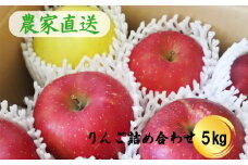 りんごミックス 贈答用 詰め合わせ（約5kg） 【798】