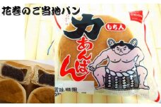 もち入り 力あんぱん １０個入 オリオンベーカリー 【805】