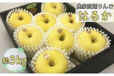 蜜入り はるか3kg いわて花巻 【811】