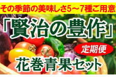 【3ヶ月定期便】旬野菜セット5～7種「賢治の豊作」 【818】