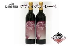 大迫佐藤葡萄園 ツヴァイゲルトレーベ 2本 【828】
