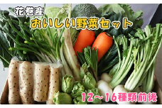 花巻産おいしい野菜セット 12～16種類前後 詰合せ お楽しみ 【876】