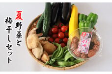 花巻の 新鮮野菜 と5年熟成 田舎 梅干 セット 【941】