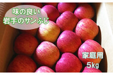 【ご家庭用】味の良い岩手のサンふじ！花巻産約5kg【予約受付】 【276】