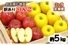 【3ヶ月定期便】イーハトーヴ 訳あり りんご ご家庭用 約5kg【960】