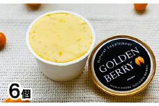 ネクスファームのフルーツほおずき「ゴールデンベリー」アイスギフト　6個入り 【980】