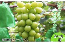 古舘ぶどう園 シャインマスカット（2～3房） 【978】