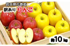 イーハトーヴ 訳あり りんご ご家庭用10kg 【958】