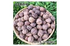 殻付き天然くるみ2㎏そのままお届け！くるみ割り器付き 【1025】