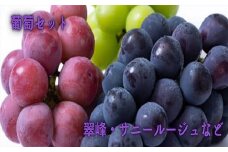 花巻堪能 葡萄セット（2種類以上） 【1022】