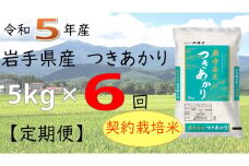 【6ヶ月定期便】令和5年産　岩手県産つきあかり5kg 【1054】