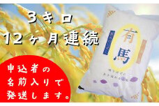 【12ヶ月定期便】銀河のしずく白米3㎏ 【1033】