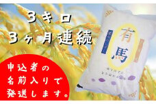 【3ヶ月定期便】銀河のしずく白米3㎏ 【1031】