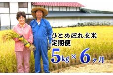 ≪令和6年産≫【6ヶ月定期便】減農薬栽培 ひとめぼれ 玄米 5kg 【1109】