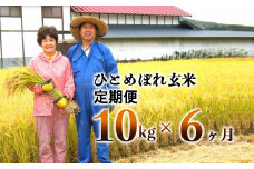 ≪令和5年産 新米≫【6ヶ月定期便】減農薬栽培 ひとめぼれ 玄米 10kg（5kgx2袋） 【1112】