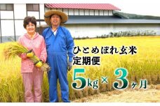 ≪令和6年産≫【3ヶ月定期便】減農薬栽培 ひとめぼれ 玄米 5kg 【1108】