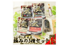 極みの5種セット（5種類300g×各1パック）1.5kg ソース300g×1本付き ＜肉の匠 中むら屋厳選＞ 【1140】