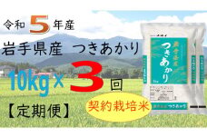 【3ヶ月定期便】令和5年産　岩手県産つきあかり10kg 【1143】