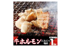 味付け牛ホルモン 秘伝のたれ漬け にんにく塩味 1kg（500g×2パック） 【1156】