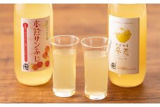 りんごジュース 100%  飲み比べセット 1000ml×2本 （そばかす冬恋はるか＆本熟サンふじ） 【1165】