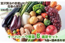 【定期便6ヶ月】イーハトーヴ野菜B 満足セット 9品～ 詰め合わせ 【1205】