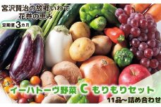 【定期便３ヶ月】イーハトーヴ野菜C もりもりセット 11品～ 詰め合わせ 【1208】