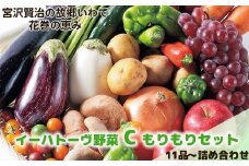 イーハトーヴ野菜C もりもりセット 11品～ 詰め合わせ 【1207】