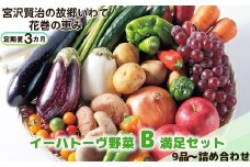 【定期便３ヶ月】イーハトーヴ野菜B 満足セット 9品～ 詰め合わせ 【1204】