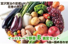 イーハトーヴ野菜B 満足セット 9品～ 詰め合わせ 【1203】